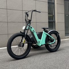 TerraVolt Explorer X-Side E-Bike