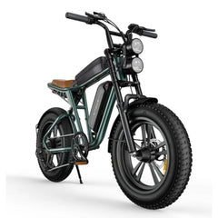 ThunderRider Moto-E Cruiser