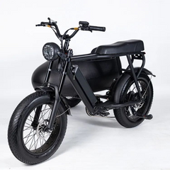 BlackHawk Urban Sidecar E-Bike